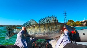 ЛОВИМ СУДАКА НА МАНДУЛЫ И РАТЛИНЫ!