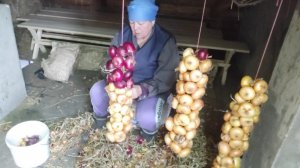 Жизнь в деревне 🏡 // мои заказы 🔥// плету лук , быстро и просто //