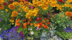 САМЫЕ КРАСИВЫЕ ЦВЕТОЧНЫЕ САДЫ В Мире! Дизайн сада на Острове Макино и Умиротворяющая Музыка