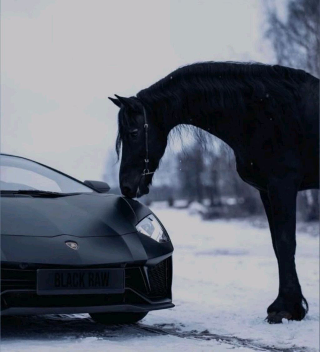 ррррропла смотреть онлайн