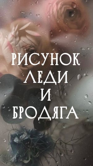 Рисунок. Леди и Бродяга.