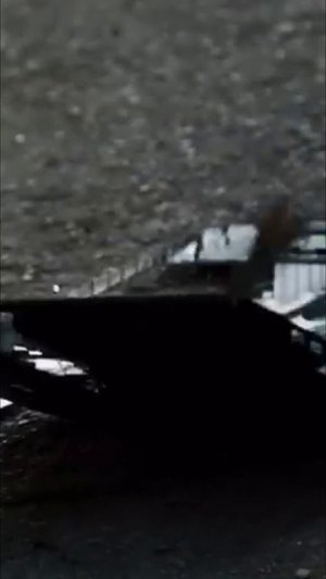 Особь женского пола