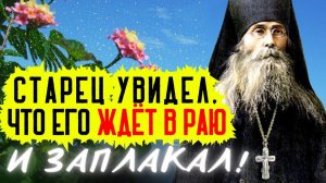 Очень Интересные Истории! Старец увидел, что его ждёт в Раю, и заплакал!  - Варсонофий Оптинский
