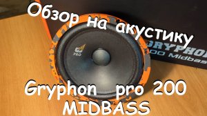 ОБЗОР на DL audio GRYPHON PRO 200 MIDBASS