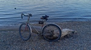 16 октября 2025 стрим.