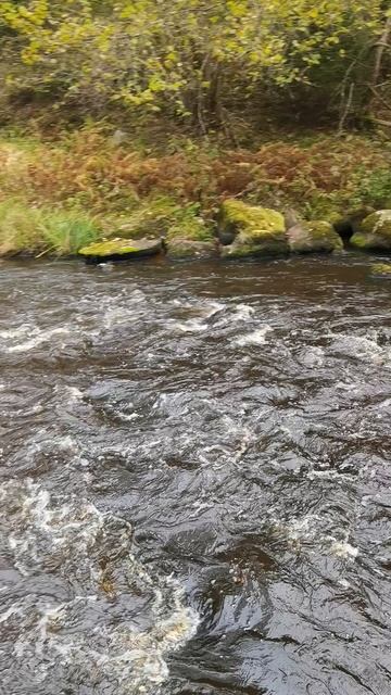 Рыбаки в Карелии. смотреть онлайн