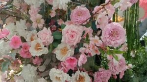 #путешествие по нарофоминску