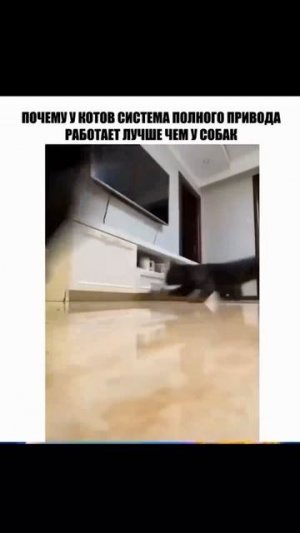 Подборка приколов