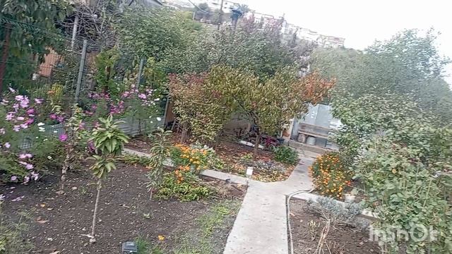 Генеральная уборка сада: готовим участок к зиме. Обрезка цветов🌿 смотреть онлайн