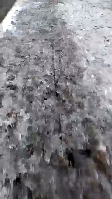 Привет 👋 с праздником всемирным днём хлеба 🍞 🥳 смотреть онлайн