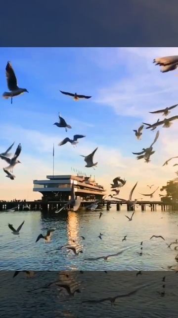 Абхазия, город-курорт Сухум, набережная Махаджиров сегодня вечером (16 октября, ОСЕНЬ-2025) смотреть онлайн