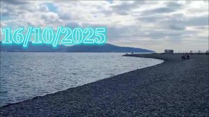 Адамово яблоко, море, утки и рыжий кот(16/10/2025)