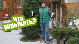 УКРОЙТЕ ЭТИ РАСТЕНИЯ НА ЗИМУ!