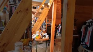 petal_20251016_010734.mp4