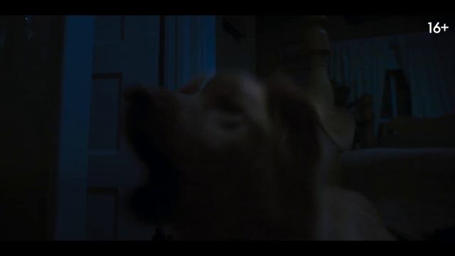 Глазами пса (2025) смотреть онлайн