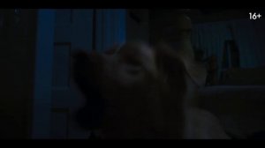 Глазами пса (2025)