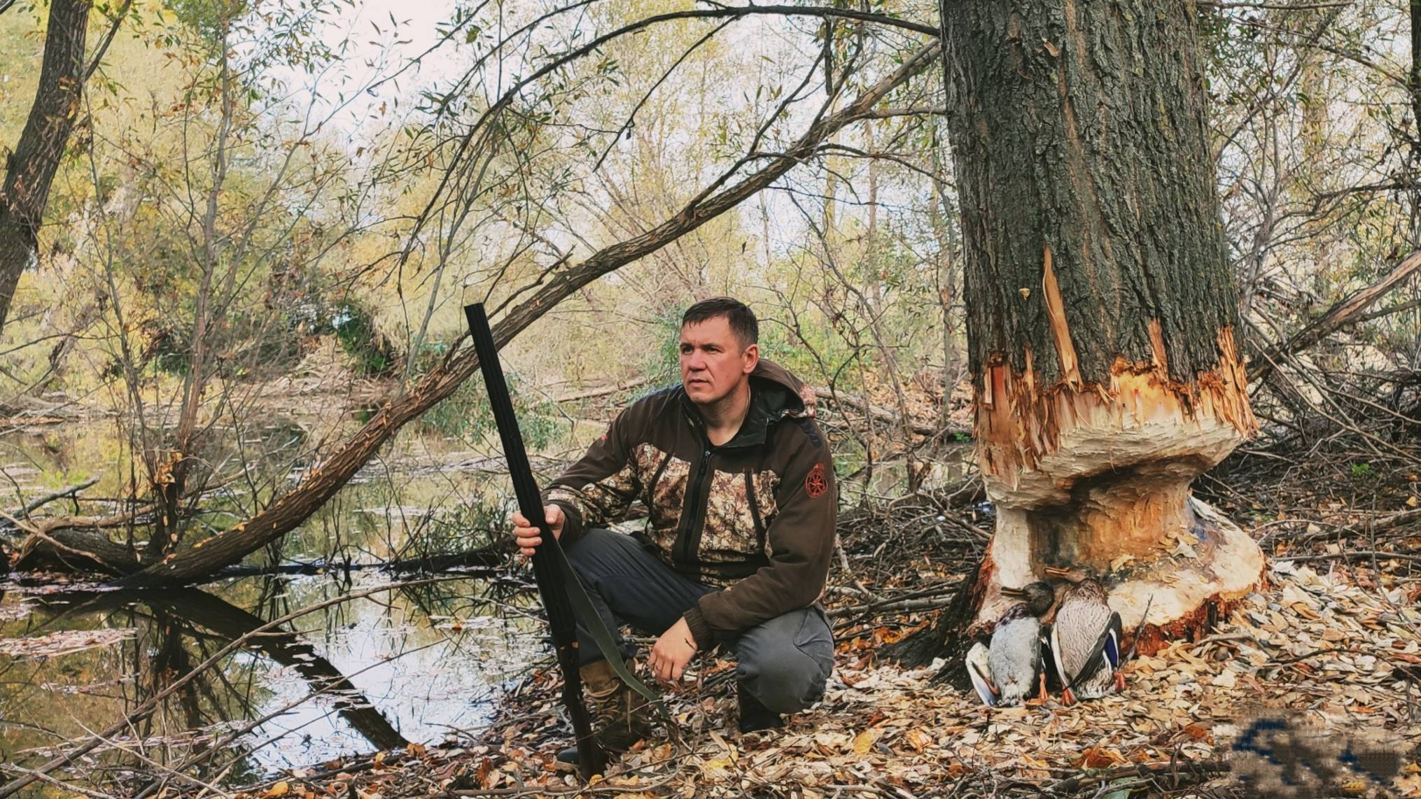 охота на утку.нашел бобровое озеро