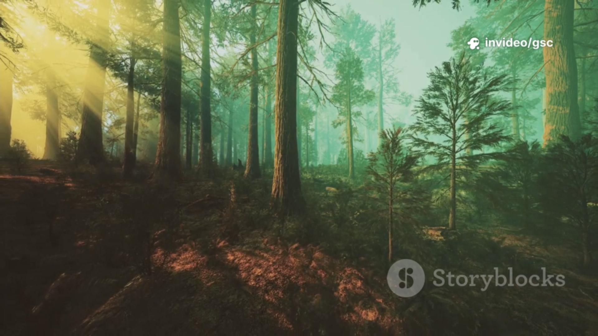 Сказка о медвежонке Тучка, часть 1 смотреть онлайн