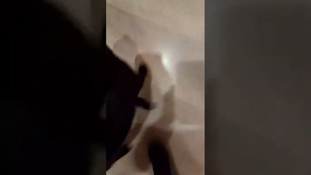 за камерой смотреть онлайн