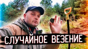 ТРАКТОР ОТКРЫЛ ТАЙНИК: НАШЕЛ РЕДКИЕ МОНЕТЫ НА ЛЕСНОЙ ДОРОГЕ!