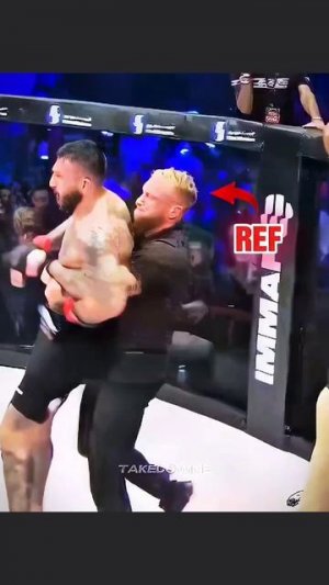 Лучше не связывайтесь с этим рефери