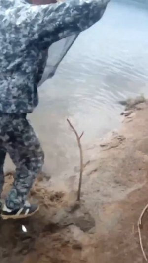 Видео от За Трофеем: Охота и Рыбалка