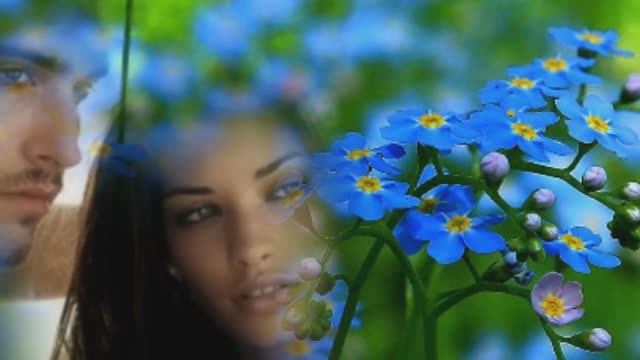 Александр Малинин - А на том берегу незабудки цветут смотреть онлайн