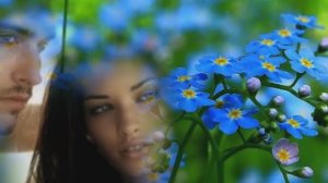 Александр Малинин - А на том берегу незабудки цветут