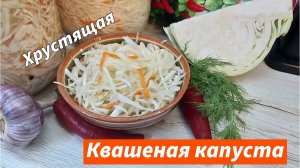 Квашеная капуста быстрого приготовления  рецепт проверенный годами Все секреты приготовления капусты