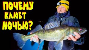 ЭКСПЕРЕМЕНТ УДАЛСЯ! Ночная рыбалка против дневной осенью.