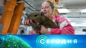 «Сегодня»: 16 октября 2025 года. 13:00 | Выпуск новостей | Новости НТВ