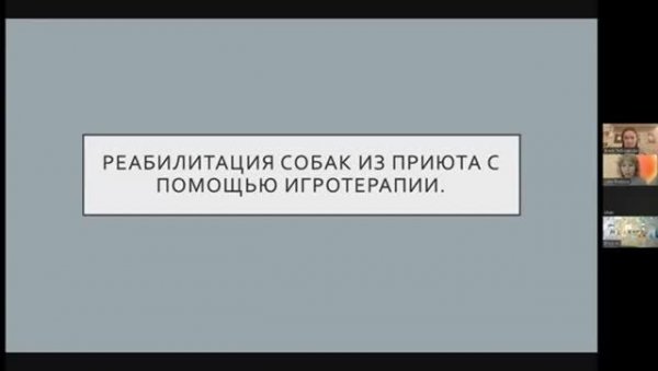 Игротерапия и реабилитация собак из приютов с ее помощью. Инструктор Спутникдог Анна Зябликова