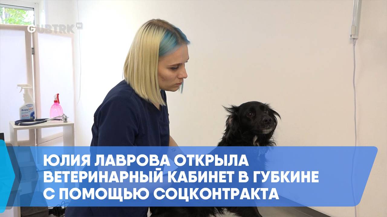 Юлия Лаврова открыла ветеринарный кабинет в Губкине с помощью соцконтракта смотреть онлайн