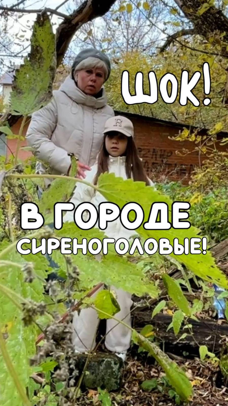 ШОК! В ГОРОДЕ СИРЕНОГОЛОВЫЕ! #сиреноголовые #нинелькаисиреноголовые #шоксиреноголовыевгороде смотреть онлайн