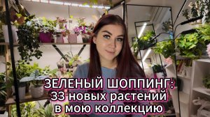 Зеленый шоппинг: 33 новых комнатных растений в мою коллекцию