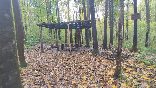 Чем дальше жизнь, тем больше замечаешь Всю красоту природы, неба синь... И думаешь, как мало в ...