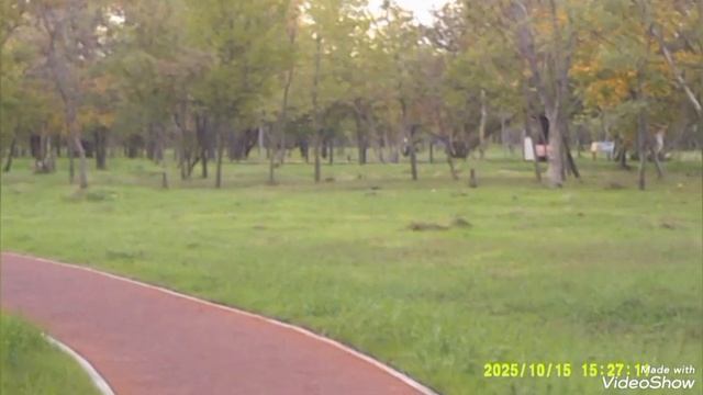 Мариуполь 🛥️ Приморский район,новые дома🏗️🏢,парк осенний 🍁🍁🍁 смотреть онлайн