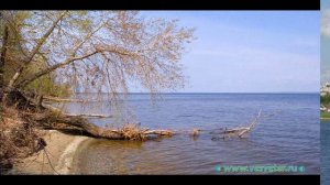 Течет река Волга