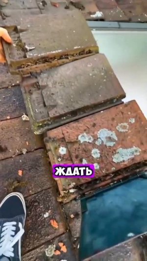 Ловил КРЫСУ, а ПОЙМАЛ... [OGN]