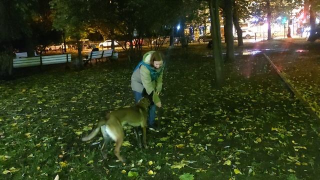 Сам не берёшь смотреть онлайн