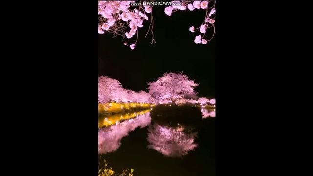 Это явно не на Земле. Красота планеты смотреть онлайн