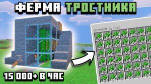 Эффективная автоматическая ферма тростника в майнкрафт