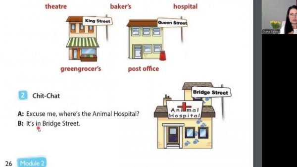 Spotlight 4 кл. Урок 20. Module 2. Unit 3a. The Animal Hospital. Стр. 26-27