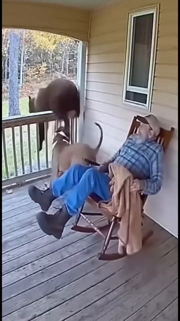 Пёс спас своего хозяина ! смотреть онлайн