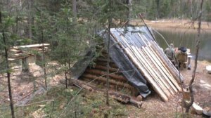 Жизнь ОТШЕЛЬНИКА Изба Охота и Рыбалка на Хариуса в ДЕВСТВЕННОЙ ТАЙГЕ 2025 Сухопит2909 Медведь