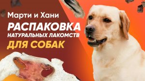 НАТУРАЛЬНЫЕ ЛАКОМСТВА ДЛЯ СОБАК ИЗ ВЛАДИВОСТОКА MR BILLY / РАСПАКОВКА/ СУТОЧНЫЕ ЦЫПЛЯТА И ПЕРЕПЕЛКИ