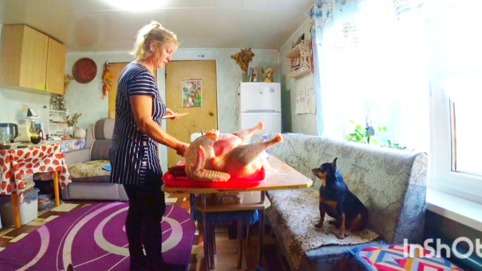 Жизнь простой семьи на Алтае,вернулся домой но не веселый,индейка для Рафаеля смотреть онлайн