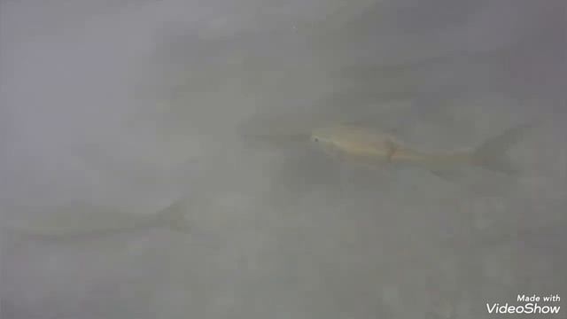 Водопад Эраван Тайланд