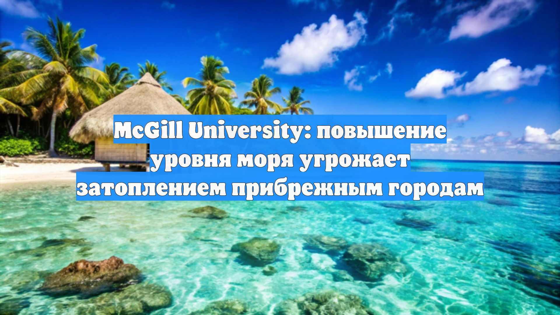 Первый Новостной