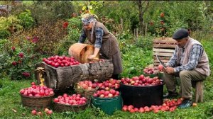 Сладкий Вкус Осени 🍎🍁 Яблочный Урожай и Домашний Сироп 🍂